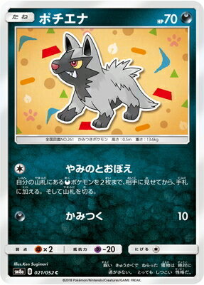 PK-SM8A-021 ポチエナ C