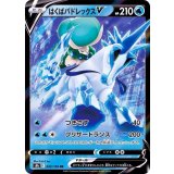 PK-S8b-043 はくばバドレックスV RR