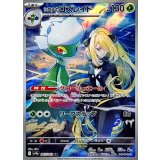 065/063 AR シロナのロズレイド