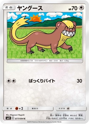 PK-SM11-077 ヤングース C