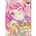 D-BT10/EX11S Pastel＊Palettes 丸山 彩 EX