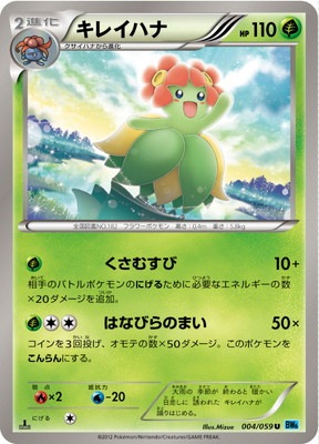 PK-BW06V-004 キレイハナ U