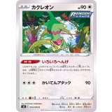 PK-S6K-054 カクレオン C