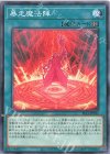 暴走魔法陣 SLF1-JP031