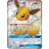 187/173 SR イーブイGX