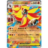 015/083 RR メガカエンジシex