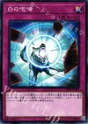 PP20-JP010 白の咆哮