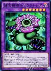 捕食植物キメラフレシア [SPFE-JP009]