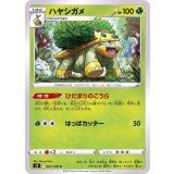 PK-S9-007 ハヤシガメ C