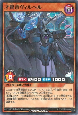 RD/SD0F-JP028 罠はずし