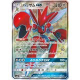 PK-SM6-071 ホルビー C