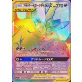 215/173 HR ブラッキー＆ダークライGX