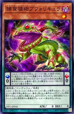捕食植物ブフォリキュラ DIFO-JP018