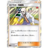 PK-SM6-048 ジガルデ C