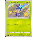PK-S4a-206 サッチムシ S