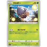 PK-S6K-005 タネボー C