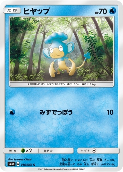 PK-SM3N-010 ヒヤップ C