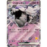 PK-SVI-028 ハカドッグex RR
