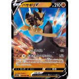 PK-S10P-040 バサギリV RR