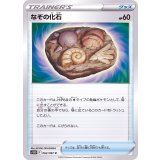 PK-S10D-062 なぞの化石 C