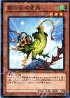 DTC1-JP004 N 霞の谷の雷鳥