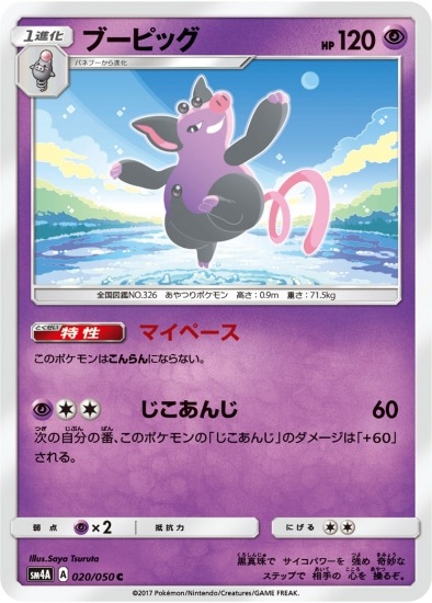 PK-SM4A-020 ブーピッグ C