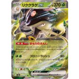 019/190 RR リククラゲex