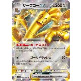 050/062 RR サーフゴーex