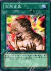 EE1-JP038 N 突然変異