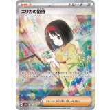 206/165 SAR エリカの招待