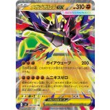 046/080 RR メガジガルデex
