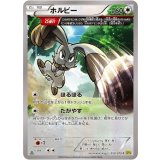 ホルビー(XY5)【C】{059/070}