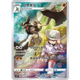 PK-S9a-071 バサギリ CHR