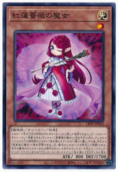 紅蓮薔薇の魔女 LIOV-JP010