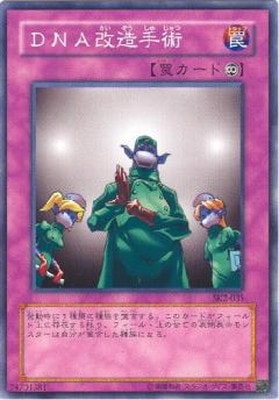 ＤＮＡ改造手術 [SK2-035]