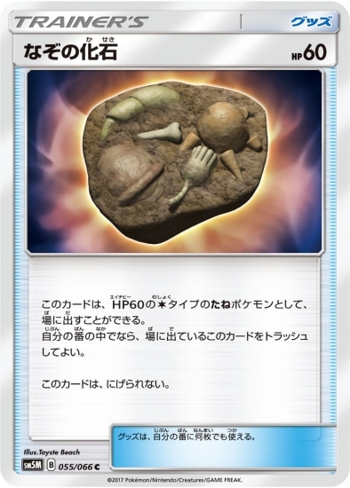 PK-SM5M-055 なぞの化石 C