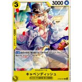 キャベンディッシュ ST36-001