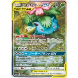 066/064 SR フシギバナ＆ツタージャGX