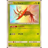 PK-SM8B-164 コソクムシ S