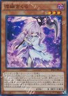 浮幽さくら [SHVI-JP040]