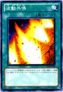 波動共鳴 YSD6-JP022