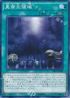 真帝王領域 CROS-JP086