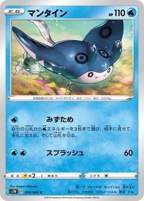 PK-S1W-016 マンタイン C
