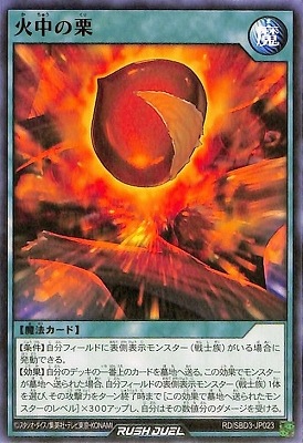 RD/SBD3-JP023 火中の栗