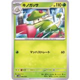 PK-SVAM-002 キノガッサ