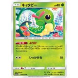 PK-SM9b-002 キャタピー C