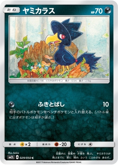PK-SM2L-029 ヤミカラス C