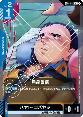 満身創痍 ST01-012