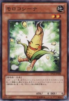 モロコシーナ TP13-JP008