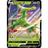 010/067 RR ビリジオンV
